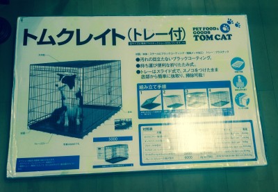 20150601_152550_トムクレイト5000