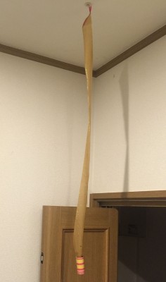 20150620_233211_ハエ取り