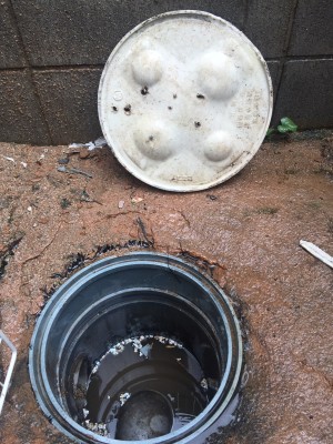 20150626_114213_マンホール328mm交換