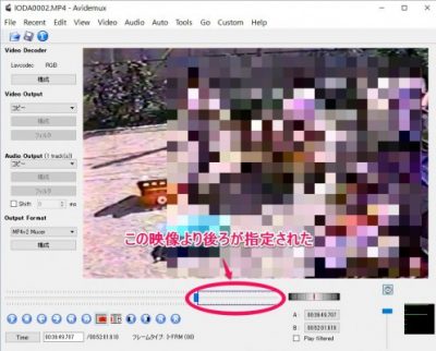 20160424_193212_Avidemuxで映像を編集結合